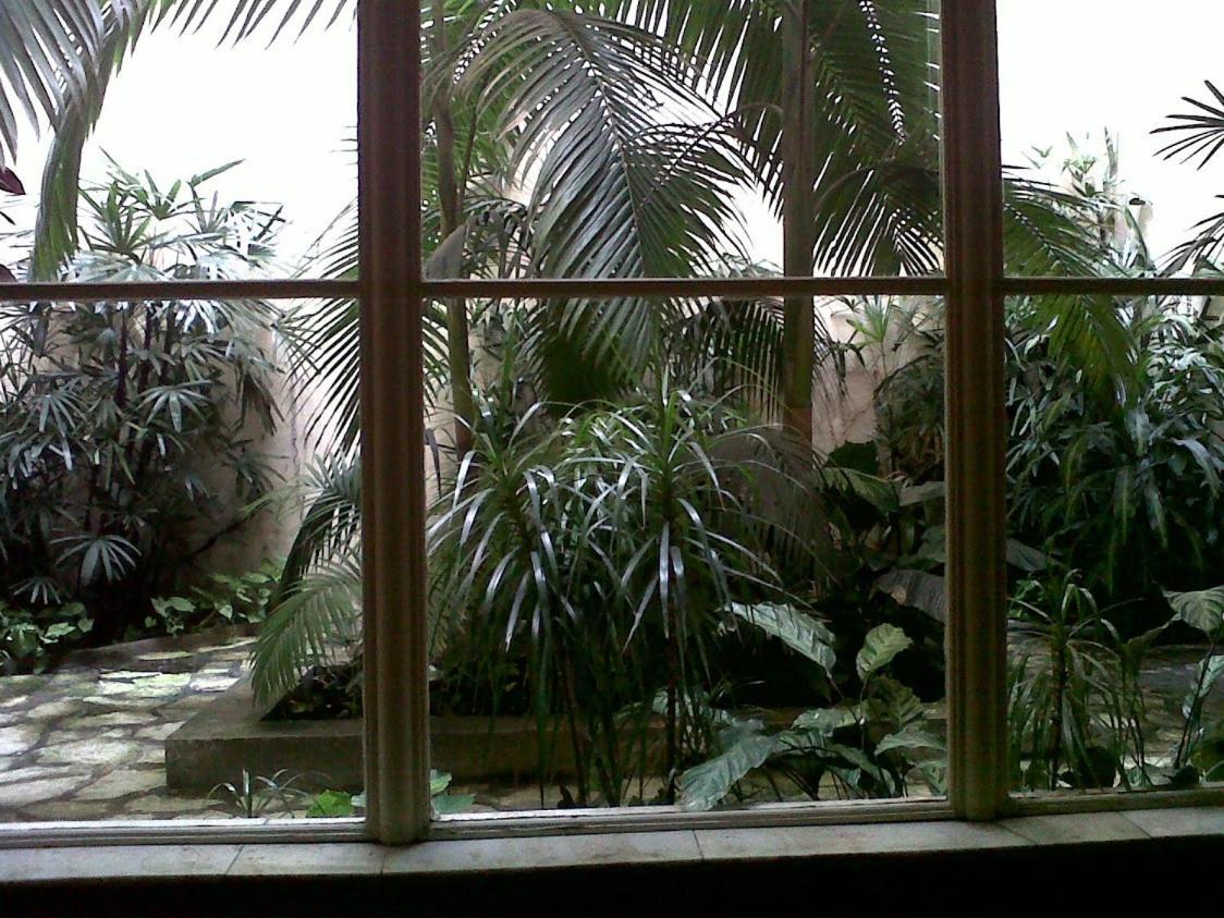 Loft Monoambiente Entrepiso Y Balcon Frances